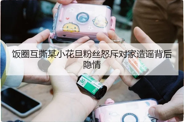饭圈互撕某小花旦粉丝怒斥对家造谣背后隐情