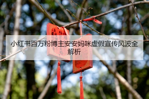小红书百万粉博主安安妈咪虚假宣传风波全解析